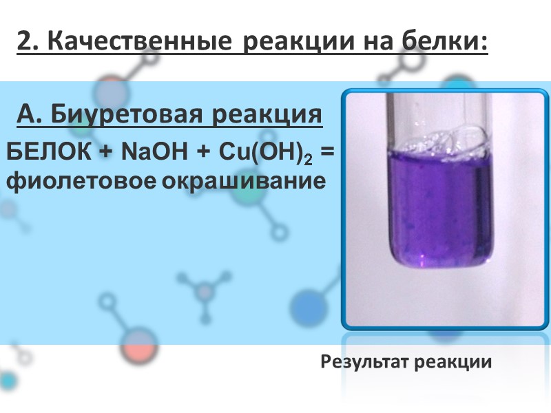 2. Качественные реакции на белки:   А. Биуретовая реакция Результат реакции БЕЛОК +